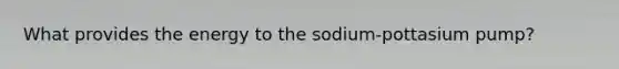 What provides the energy to the sodium-pottasium pump?