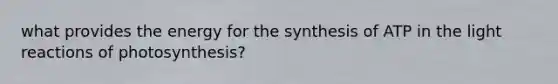 what provides the energy for the synthesis of ATP in the light reactions of photosynthesis?