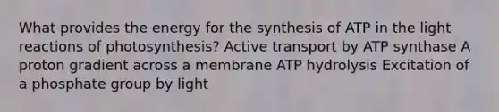 What provides the energy for the synthesis of ATP in the <a href='https://www.questionai.com/knowledge/kSUoWrrvoC-light-reactions' class='anchor-knowledge'>light reactions</a> of photosynthesis? Active transport by ATP synthase A proton gradient across a membrane ATP hydrolysis Excitation of a phosphate group by light