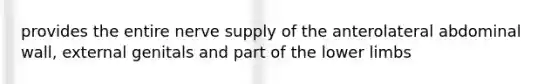 provides the entire nerve supply of the anterolateral abdominal wall, external genitals and part of the lower limbs