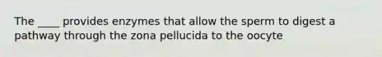 The ____ provides enzymes that allow the sperm to digest a pathway through the zona pellucida to the oocyte