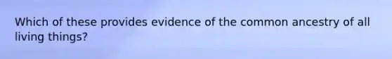 Which of these provides evidence of the common ancestry of all living things?