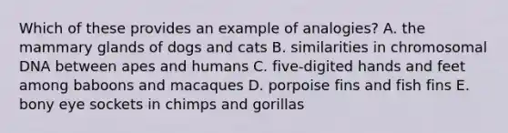 Which of these provides an example of analogies? A. the mammary glands of dogs and cats B. similarities in chromosomal DNA between apes and humans C. five-digited hands and feet among baboons and macaques D. porpoise fins and fish fins E. bony eye sockets in chimps and gorillas