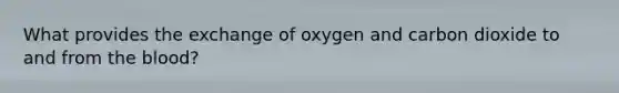 What provides the exchange of oxygen and carbon dioxide to and from the blood?