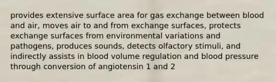 provides extensive surface area for gas exchange between blood and air, moves air to and from exchange surfaces, protects exchange surfaces from environmental variations and pathogens, produces sounds, detects olfactory stimuli, and indirectly assists in blood volume regulation and blood pressure through conversion of angiotensin 1 and 2