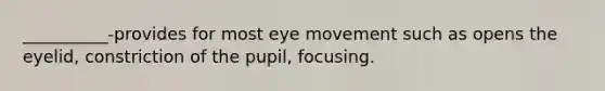 __________-provides for most eye movement such as opens the eyelid, constriction of the pupil, focusing.