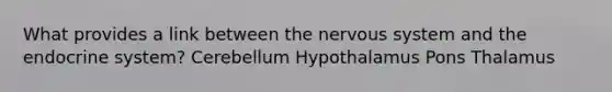 What provides a link between the nervous system and the endocrine system? Cerebellum Hypothalamus Pons Thalamus