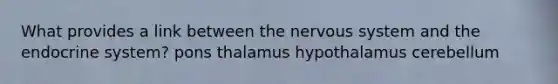 What provides a link between the nervous system and the endocrine system? pons thalamus hypothalamus cerebellum