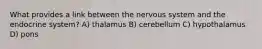 What provides a link between the nervous system and the endocrine system? A) thalamus B) cerebellum C) hypothalamus D) pons