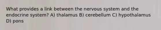 What provides a link between the nervous system and the endocrine system? A) thalamus B) cerebellum C) hypothalamus D) pons