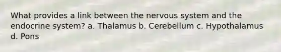 What provides a link between the nervous system and the endocrine system? a. Thalamus b. Cerebellum c. Hypothalamus d. Pons