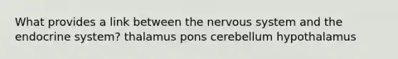 What provides a link between the nervous system and the endocrine system? thalamus pons cerebellum hypothalamus