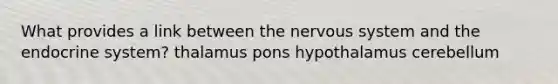 What provides a link between the nervous system and the endocrine system? thalamus pons hypothalamus cerebellum