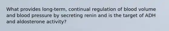 What provides long-term, continual regulation of blood volume and blood pressure by secreting renin and is the target of ADH and aldosterone activity?