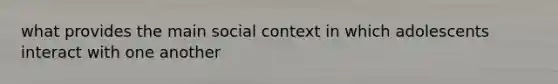 what provides the main social context in which adolescents interact with one another