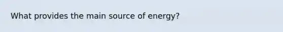 What provides the main source of energy?