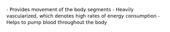 - Provides movement of the body segments - Heavily vascularized, which denotes high rates of energy consumption - Helps to pump blood throughout the body