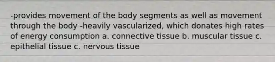 -provides movement of the body segments as well as movement through the body -heavily vascularized, which donates high rates of energy consumption a. connective tissue b. muscular tissue c. epithelial tissue c. nervous tissue