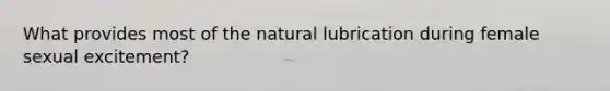 What provides most of the natural lubrication during female sexual excitement?