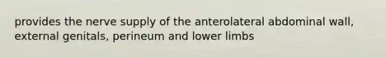 provides the nerve supply of the anterolateral abdominal wall, external genitals, perineum and lower limbs