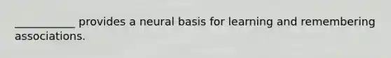 ___________ provides a neural basis for learning and remembering associations.