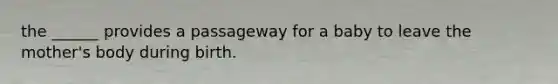 the ______ provides a passageway for a baby to leave the mother's body during birth.