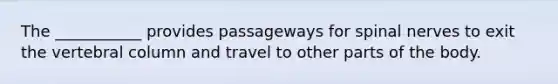 The ___________ provides passageways for spinal nerves to exit the vertebral column and travel to other parts of the body.