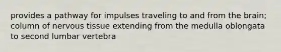 provides a pathway for impulses traveling to and from the brain; column of nervous tissue extending from the medulla oblongata to second lumbar vertebra