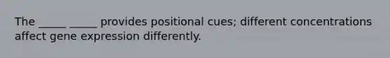 The _____ _____ provides positional cues; different concentrations affect gene expression differently.