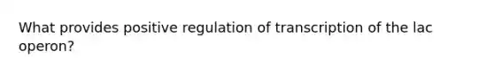 What provides positive regulation of transcription of the lac operon?