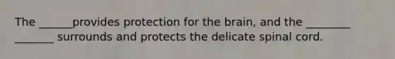 The ______provides protection for the brain, and the ________ _______ surrounds and protects the delicate spinal cord.