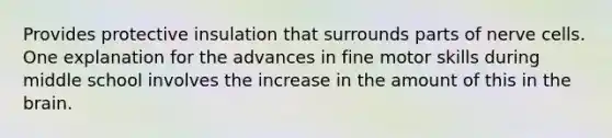 Provides protective insulation that surrounds parts of nerve cells. One explanation for the advances in fine motor skills during middle school involves the increase in the amount of this in the brain.