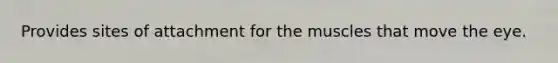 Provides sites of attachment for the muscles that move the eye.