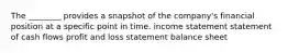 The ________ provides a snapshot of the company's financial position at a specific point in time. income statement statement of cash flows profit and loss statement balance sheet