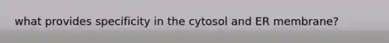 what provides specificity in the cytosol and ER membrane?