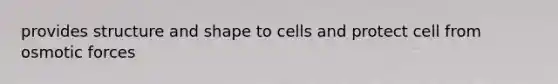 provides structure and shape to cells and protect cell from osmotic forces