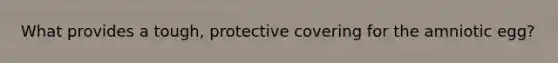 What provides a tough, protective covering for the amniotic egg?