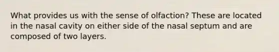 What provides us with the sense of olfaction? These are located in the nasal cavity on either side of the nasal septum and are composed of two layers.