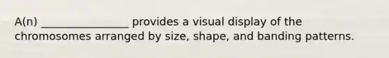 A(n) ________________ provides a visual display of the chromosomes arranged by size, shape, and banding patterns.