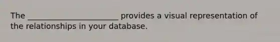 The _______________________ provides a visual representation of the relationships in your database.