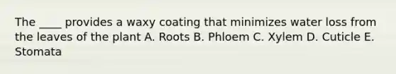 The ____ provides a waxy coating that minimizes water loss from the leaves of the plant A. Roots B. Phloem C. Xylem D. Cuticle E. Stomata