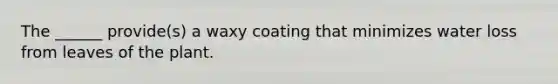The ______ provide(s) a waxy coating that minimizes water loss from leaves of the plant.