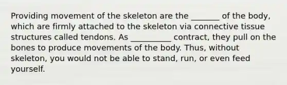 Providing movement of the skeleton are the _______ of the body, which are firmly attached to the skeleton via connective tissue structures called tendons. As __________ contract, they pull on the bones to produce movements of the body. Thus, without skeleton, you would not be able to stand, run, or even feed yourself.