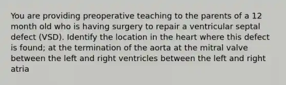 You are providing preoperative teaching to the parents of a 12 month old who is having surgery to repair a ventricular septal defect (VSD). Identify the location in the heart where this defect is found; at the termination of the aorta at the mitral valve between the left and right ventricles between the left and right atria