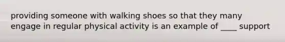 providing someone with walking shoes so that they many engage in regular physical activity is an example of ____ support