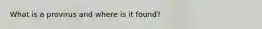 What is a provirus and where is it found?
