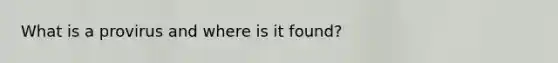 What is a provirus and where is it found?
