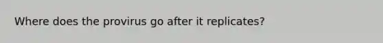 Where does the provirus go after it replicates?