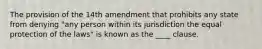 The provision of the 14th amendment that prohibits any state from denying "any person within its jurisdiction the equal protection of the laws" is known as the ____ clause.