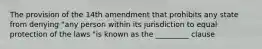 The provision of the 14th amendment that prohibits any state from denying "any person within its jurisdiction to equal protection of the laws "is known as the _________ clause